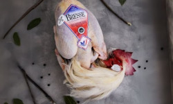 Volailles Morand - Lot de 2 poulets de Bresse AOP PAC aves tête et pattes