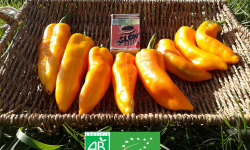 LES JARDINS DE KARINE - Poivrons oranges - 500g