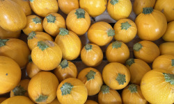 Maison Quéméner - Courgette ronde jaune - Lot de 2 pièces (environ 600 g)