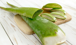 La Boite à Herbes - Feuille D'aloe Vera - Sachet 1 Feuille