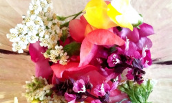 Nature et Saveurs - Ferme Aquaponique et Permacole Astérienne - Fleurs Fraiches & Comestibles en mélange (200 pièces)