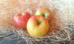 Les Jardins de Gérard - Pomme Pinova Bio - 3 kg