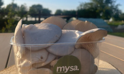 Mysa - Pleurotes grises 450g