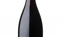 Domaine la Paganie - Vin élevé en Amphore ( LA TERRE )