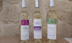 Domaine Les Conques Soulière - BLANC- 3 bouteilles Panaché 75 cl de Blanc IGP Méditerranée