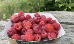Ferme Sinsac - framboises fraiches