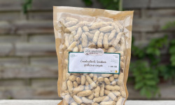 Ferme Darrigade - Cacahuètes grillées en coques 400g