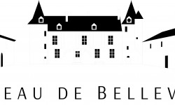 Château de Belleville Maison Baron - Les Festives Rosé X6
