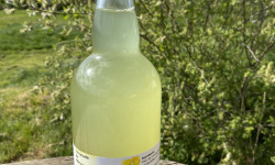 Ferme Sinsac - Limonade de Mimosa