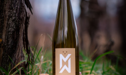 Domaine François WECK et fils - Gewurztraminer Grand Cru Goldert
