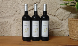 Domaine Les Conques Soulière - AGA 3x75cl Rouge Cuvée Agarrus