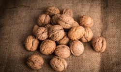 Nature et Saveurs - Ferme Aquaponique et Permacole Astérienne - Noix fraîche Franquette – croquante, douce