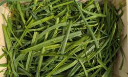 Nature et Saveurs - Ferme Aquaponique et Permacole Astérienne - Fanes de poireaux - 500g