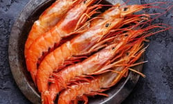 La Paysanne des Mers - Crevettes Roses cuites sauvages 10/20 - 1kg