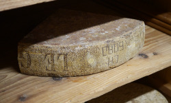 Alléosse Maitre Artisan Affineur Fromager - Gruyère de Fribourg AOP d'Alpage +18 mois