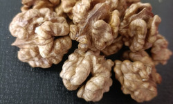 Rébecca les Jolies Fleurs - Cérneaux de noix