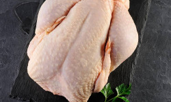 Les Volailles de la Garenne - [Précommande] Chapon Noël