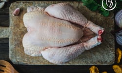 Maison BAYLE - Champions du Monde de boucherie 2016 - Poulet Fermier - 2.100 kg