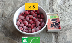 LES JARDINS DE KARINE - Baie d'églantier dit Cynorhodon surgelé - 1kg