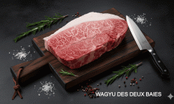 Wagyu des Deux Baies - [Précommande] Paleron de Wagyu - 500gr