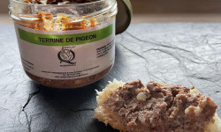 Quintart Pigeonneaux - Terrine de Pigeon