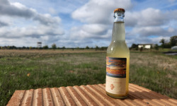 ChâteauFer - Kombucha Carotte 33cl