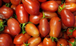 ChâteauFer - Tomate roma 5kg