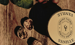 GT Designer Glacier - Glace Vanille rouge de Madagascar 500ml