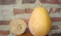 Ferme de Cernunnos - Sucrine du Berry Bio - 2kg