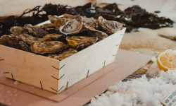 Thalassa Tradition - Huîtres Fines de Mer N°4 Blainville - 48 pièces