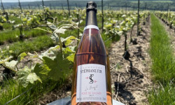 Champagne Stéphane Fir - Champagne Rosé De Saignée - 6 X 75 Cl