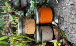 L’Oliveraie du Coudon - RILLETTES DE SAUMON AUX ZESTES DE CITRON 90GR