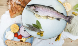 Les Viviers Cathares - Truite entière BIO 2,5kg