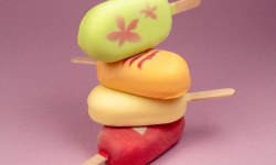 GT Designer Glacier - Lots 5 esquimaux