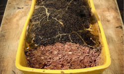 Ferme de la Paumerais - PATE DE LA PAUMERAIS - Tranche 250 Gr (1 tranche)