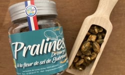 Les Graines de Louise - Pralines de Courge Fleur de Sel Biologique pot 100g