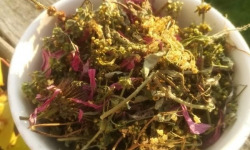 La Cabane à plantes - Infusion Résistance