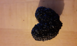 Les Vergers de la Vautée - Truffe de Bourgogne fraîche