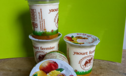 Ferme Chambon - Yaourts Au Lait Cru Et Aux Fruits (mangue-passion) X4