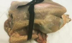 Des Poules et des Vignes à Bourgueil - Géline d’Ingrandes