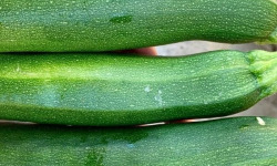 ChâteauFer - Courgette