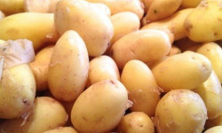 Aux Jardins des Colibris - Panier de pommes de terre Bio "Côte de lumière"