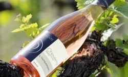 Domaine Daridan - Vin AOC Cheverny Rosé 75cl