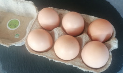 Ferme de Carcouet - Petits Oeufs Bio Frais - x 12