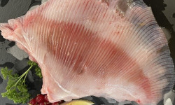 Notre poisson - Aile de raie pelée - 1,5kg