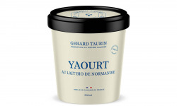 GT Designer Glacier - Glace Yaourt 500ml