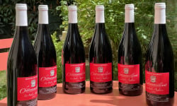 Domaine des Mazis - FOIRE AUX VINS - AOC Châteaumeillant - Vin Rouge - La Belle Anglaise 2018 - 6x75 cl