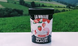 Les Glaces de la Vallée - Coffret Yaourt et fruits glacés à la fraise "la Vallée" 12 pots de 500 ml