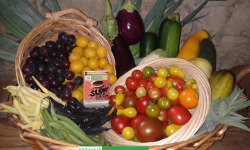 LES JARDINS DE KARINE - PANIER modulable / FRUITS et LEGUMES bios d'ETE