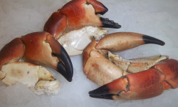 Saveurs Océanes IO - Pinces de tourteaux cuites – 1kg